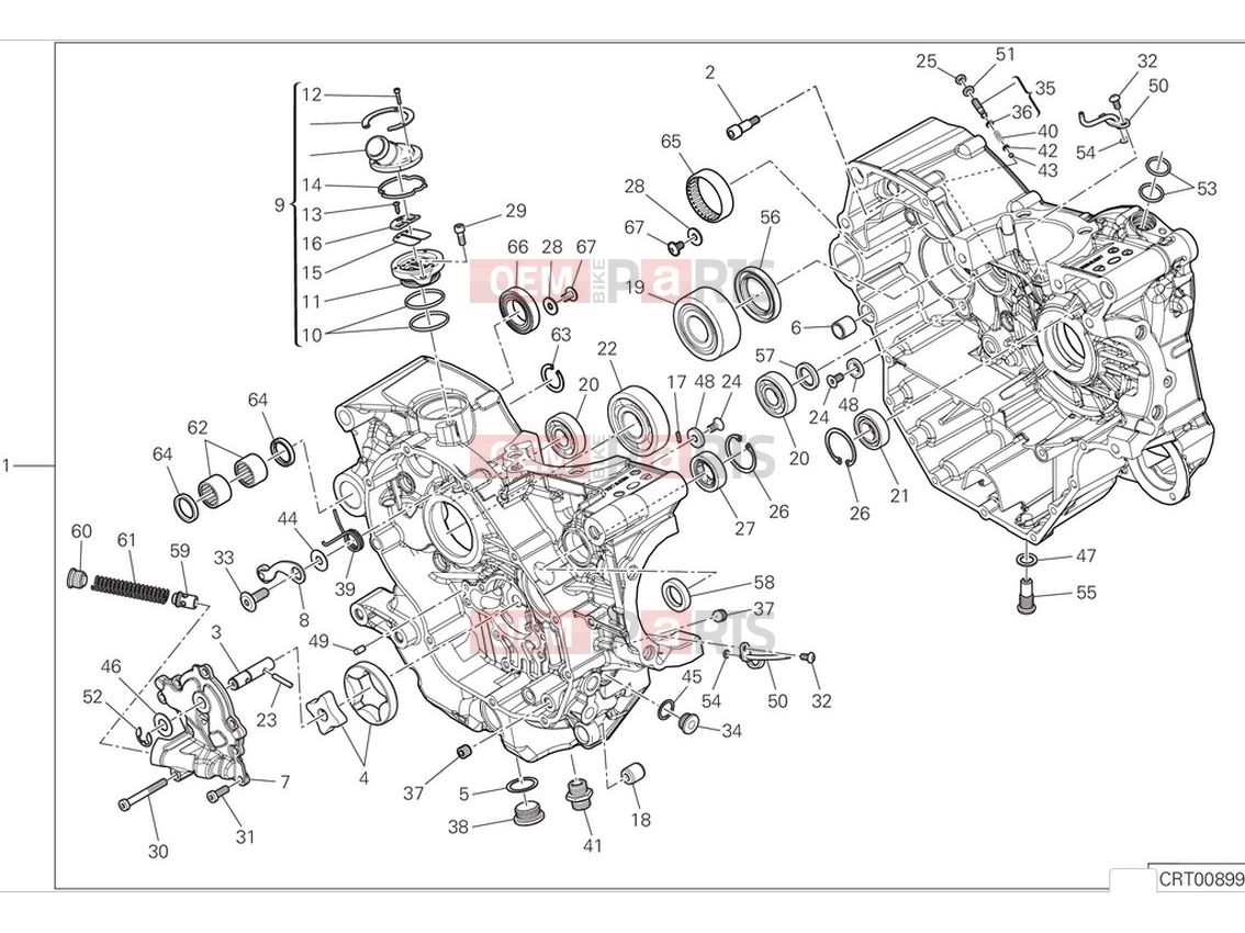 DUCATI 2024 Monster Crankcase (1)