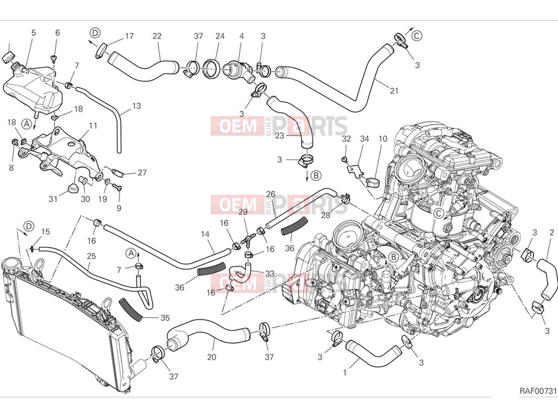 DUCATI 2024 Monster Plus Cooling circuit