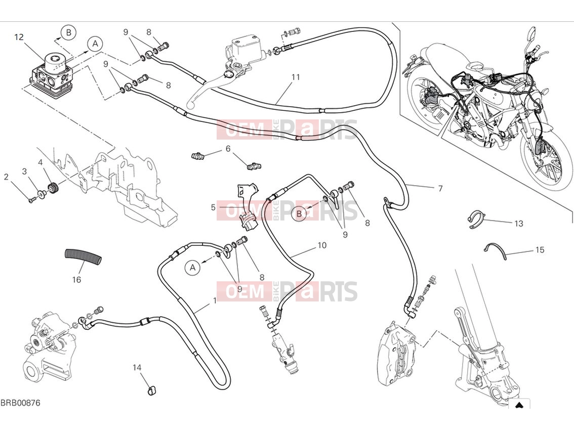 DUCATI 2024 Scrambler Icon Braking system ABS