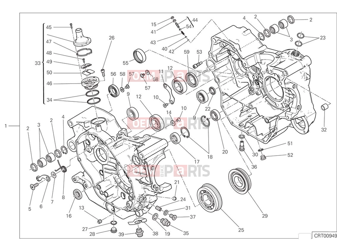 DUCATI 2024 Scrambler Nightshift Crankcase (1)