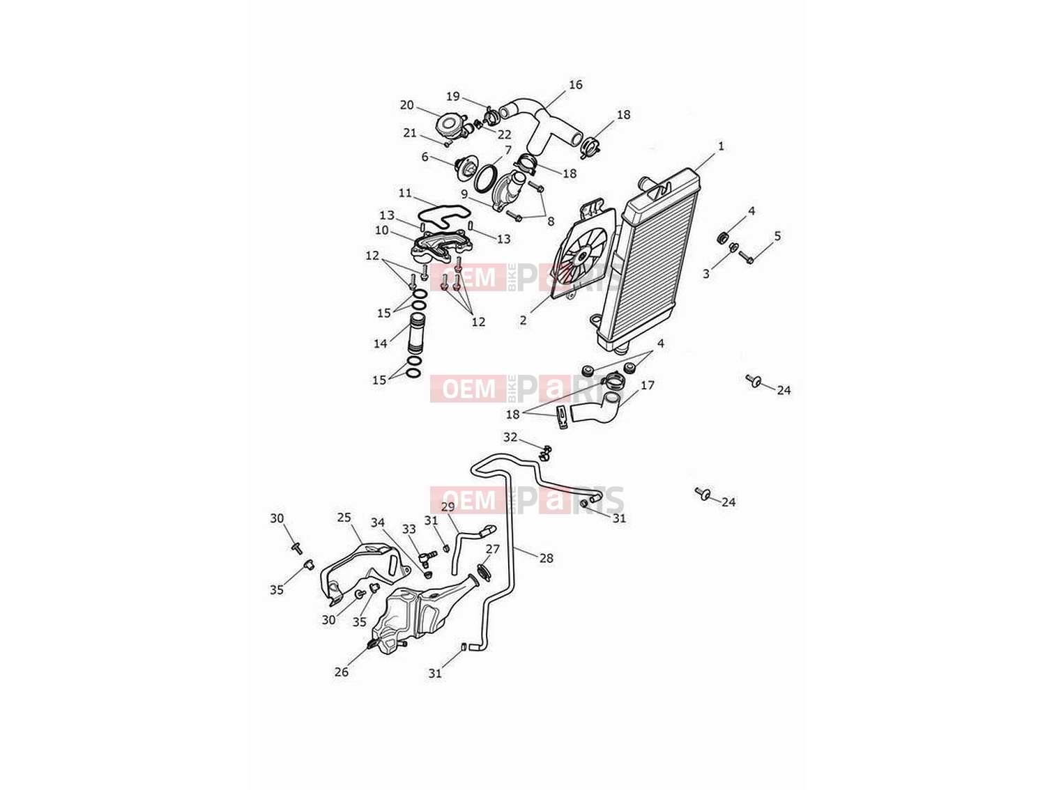 Triumph 2024 Speed Twin 900 Cooling system