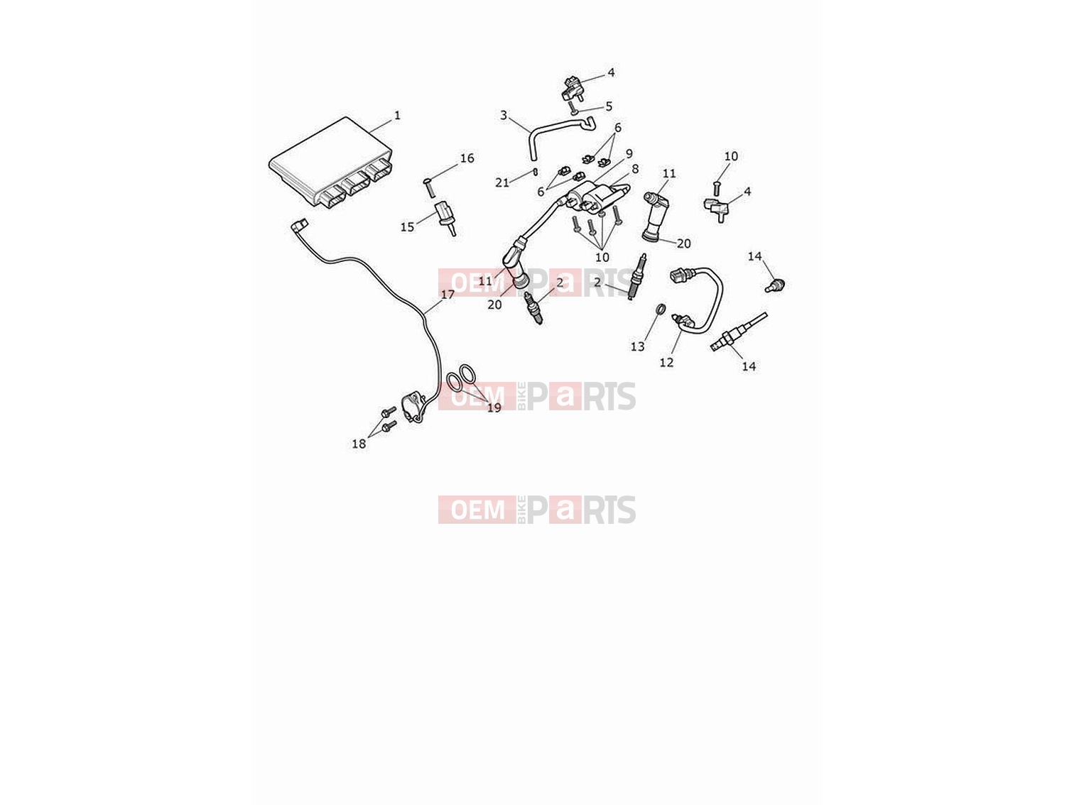 Triumph 2024 Speed Twin 900 Engine management system