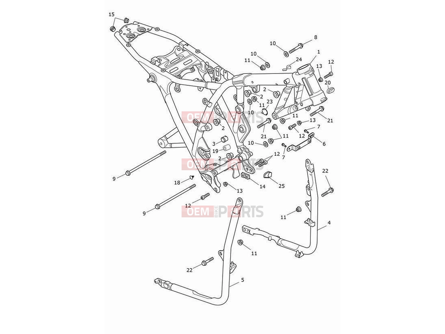 Triumph 2024 Speed Twin 900 Main frame