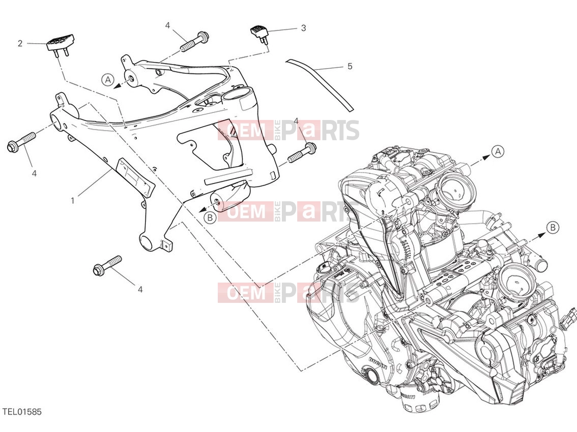 DUCATI 2022 Monster Frame