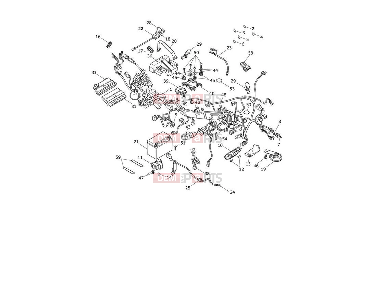 Triumph 2022 Tiger 900 Rally Electrical System