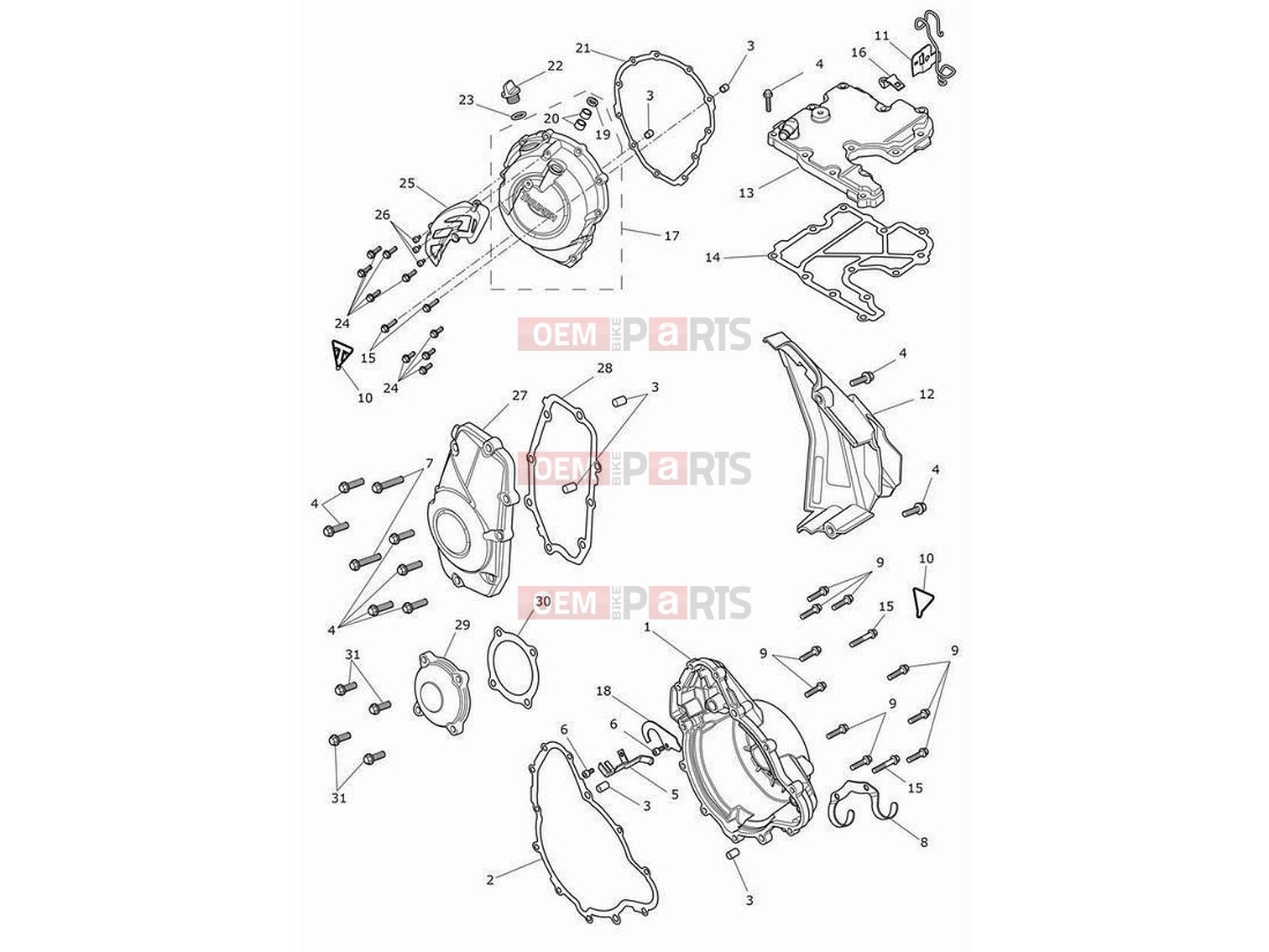 Triumph 2024 Tiger 900 GT Pro Engine covers