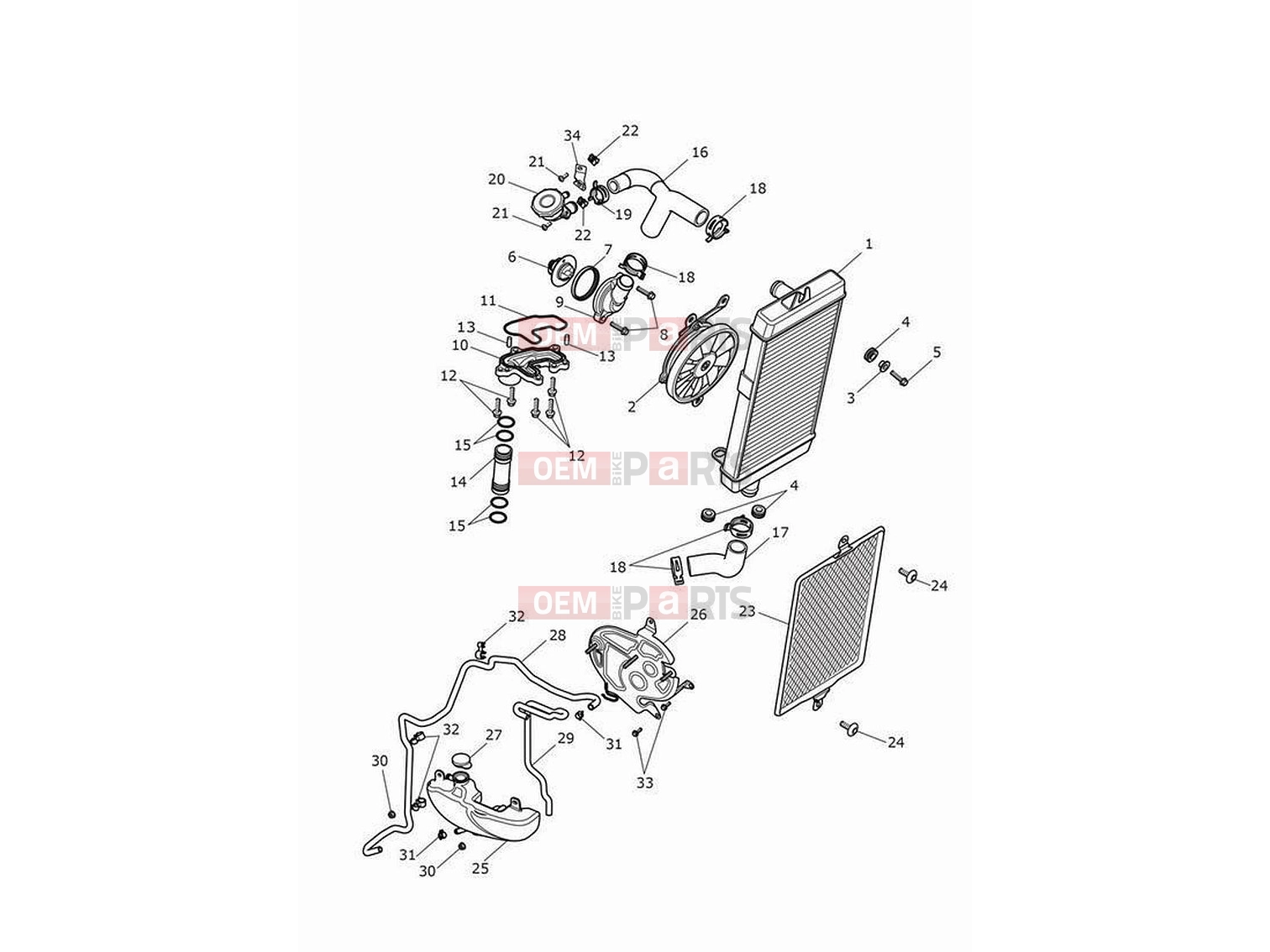 Triumph 2023 Bonneville Speedmaster Cooling system