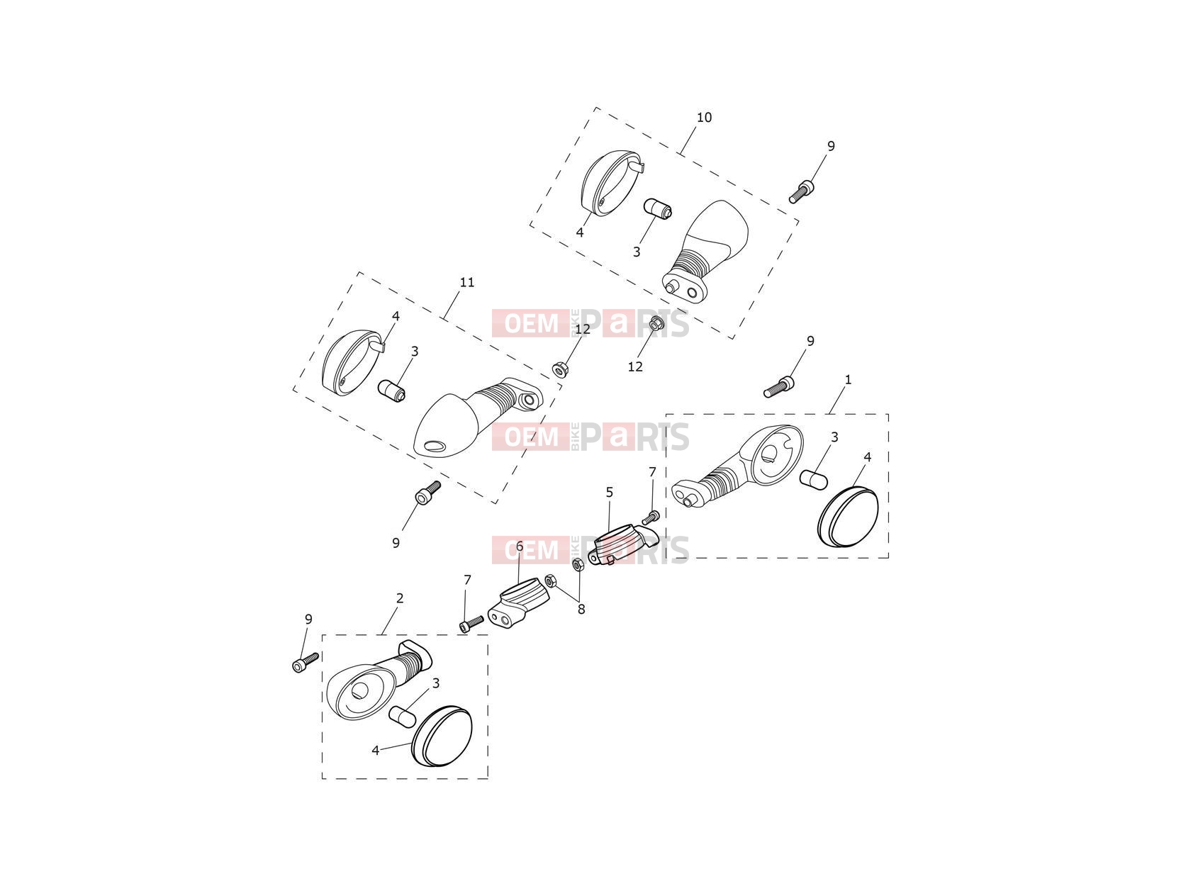 Triumph 2024 Scrambler 900 Indicators