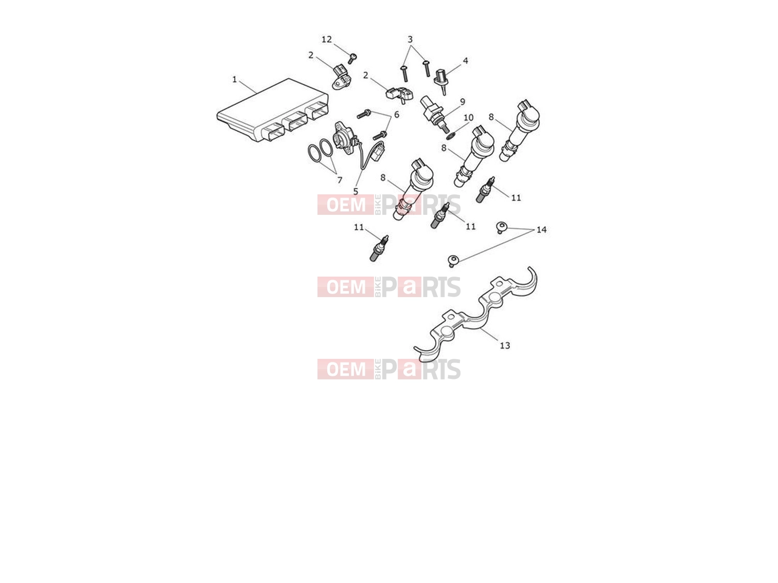 Triumph 2022 Tiger 1200 GT Explorer Engine Management