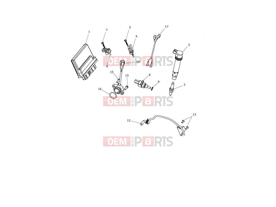 Triumph 2015 TROPHY 1215 SE Engine Management System
