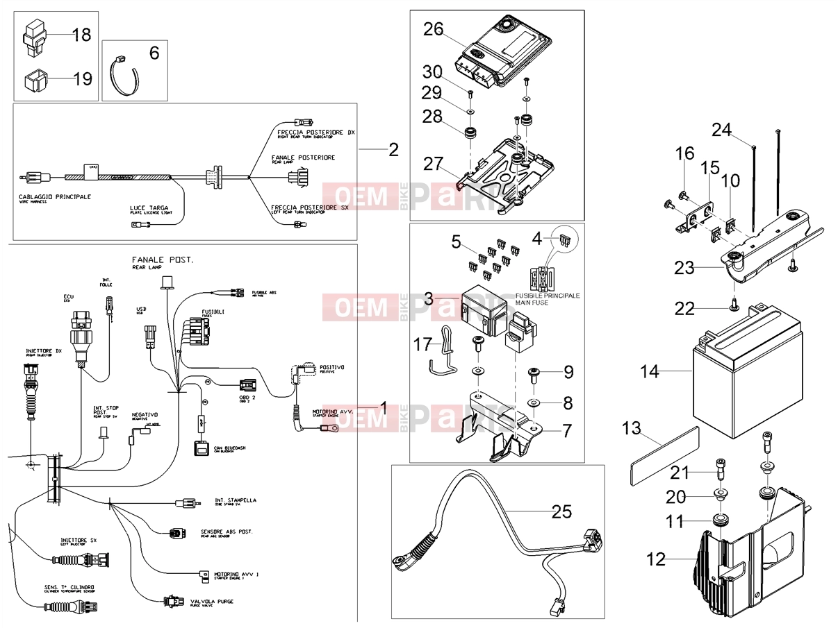 MOTOGUZZI V7 Stone E5+ (EU) Electrical systems » Rear electrical system