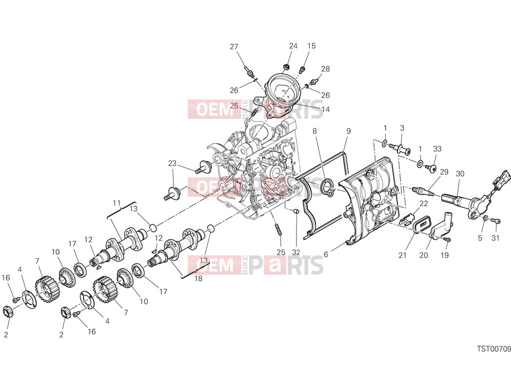 DUCATI 2025 Desert X Horizontal head timing system