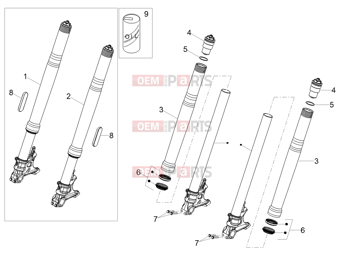 MOTOGUZZI V100 Mandello S E5+ (EU) Suspensions » Front fork Ohlins