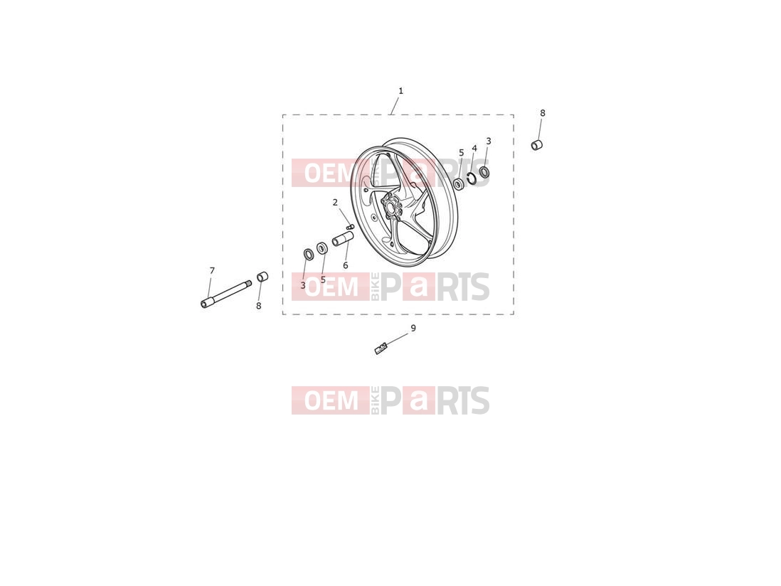 Triumph 2020 Speed Triple RS Front Wheel