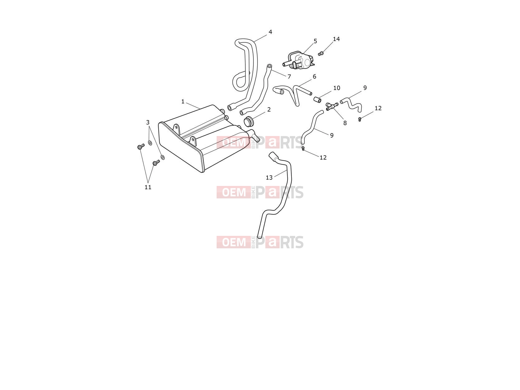 Triumph 2024 Thruxton RS Evap System