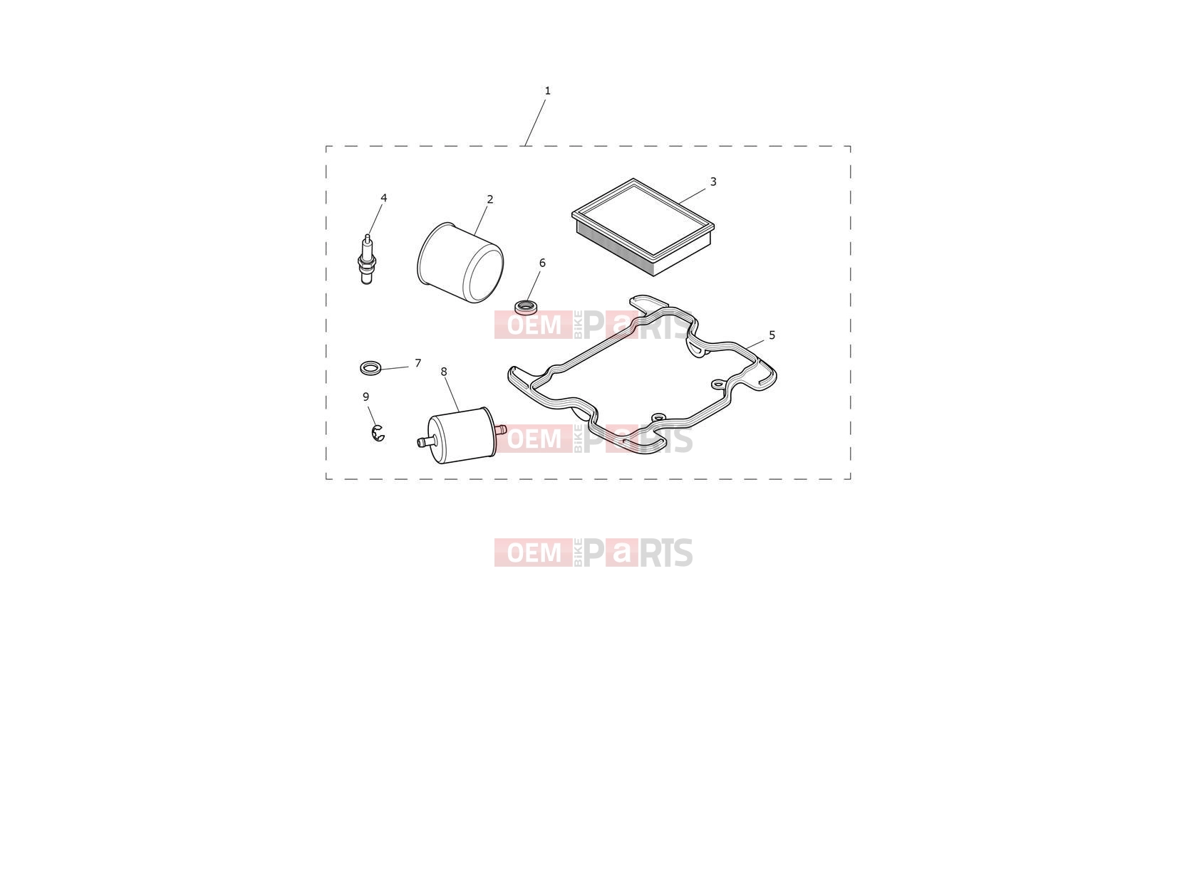 Triumph 2024 Thruxton RS Engine Service Kit