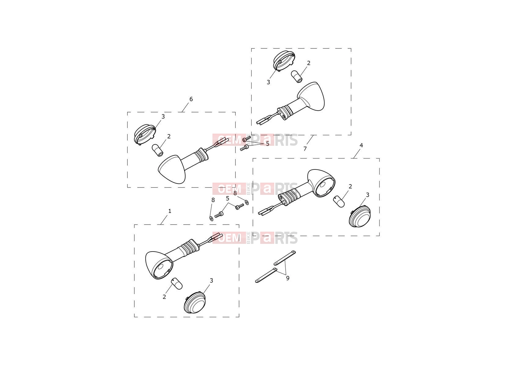 Triumph 2024 Thruxton RS Indicators