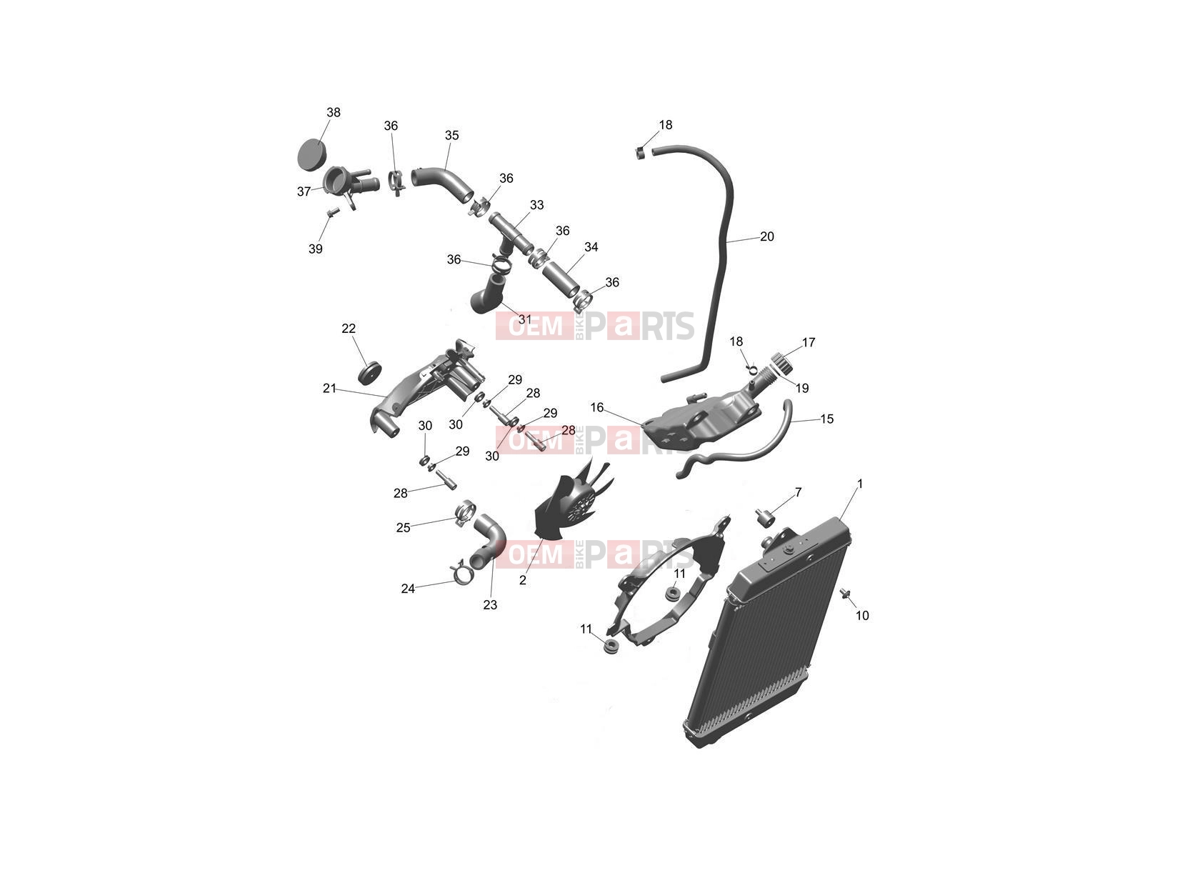 Triumph 2024 Speed 400 Cooling System