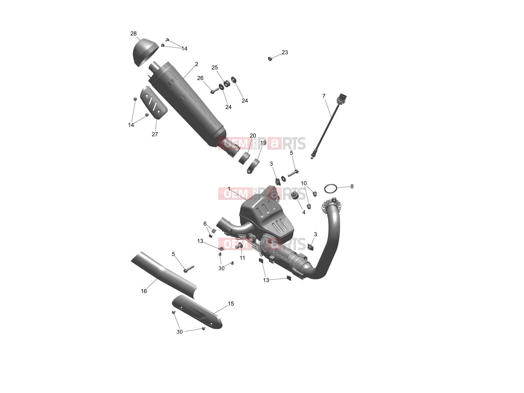 Triumph 2024 Speed 400 Exhaust System