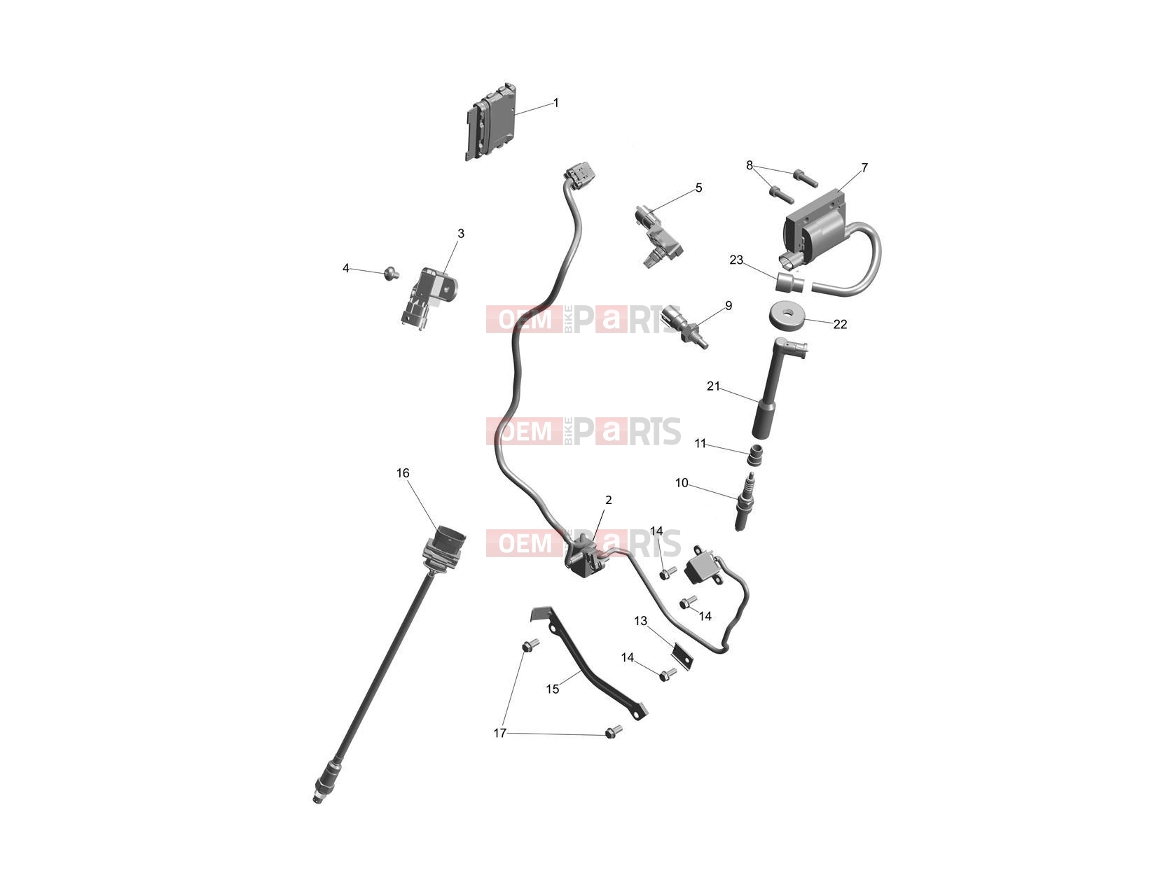Triumph 2024 Speed 400 Engine Management