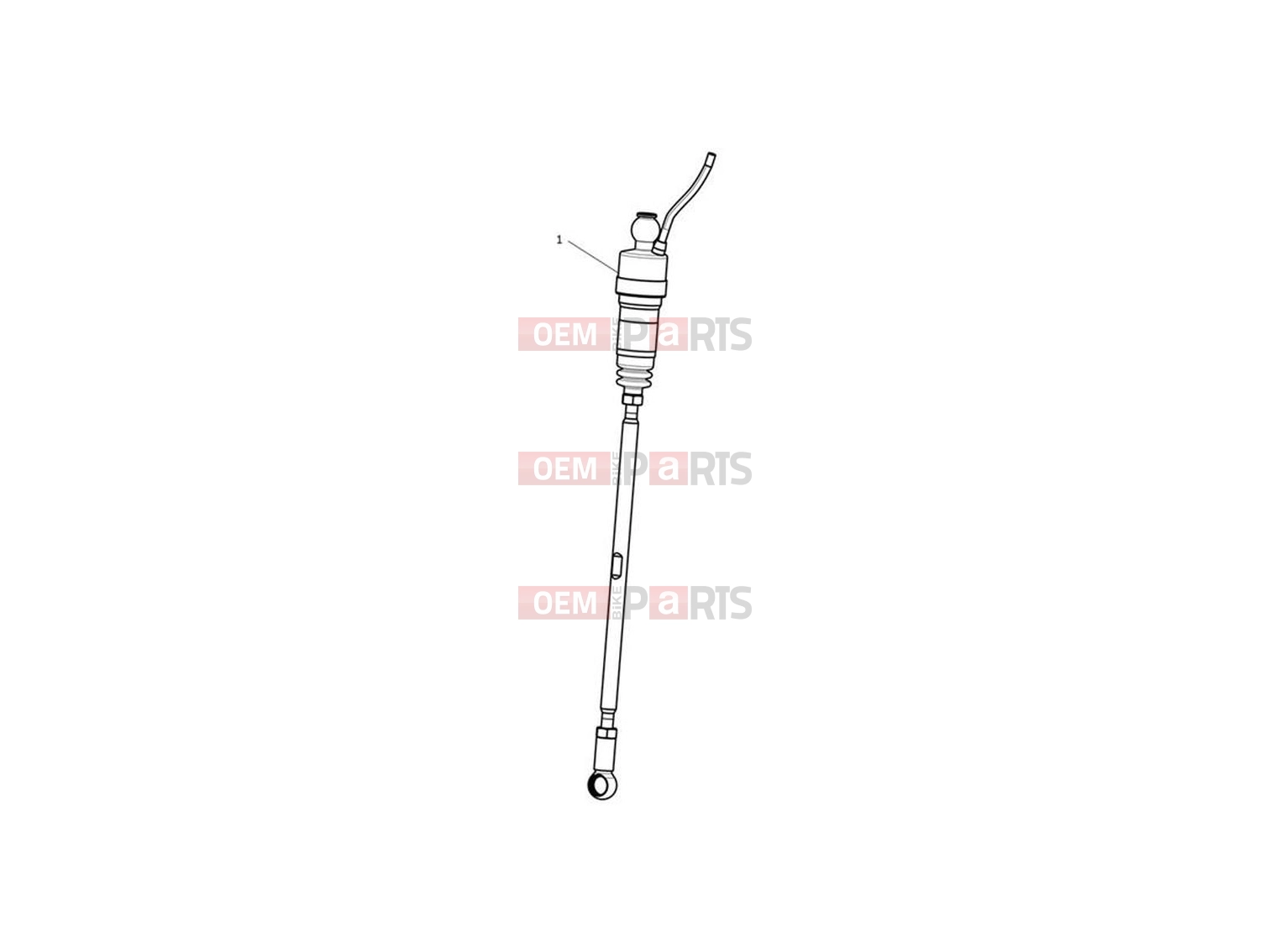 Triumph 2023 Trident 660 Shift Assist