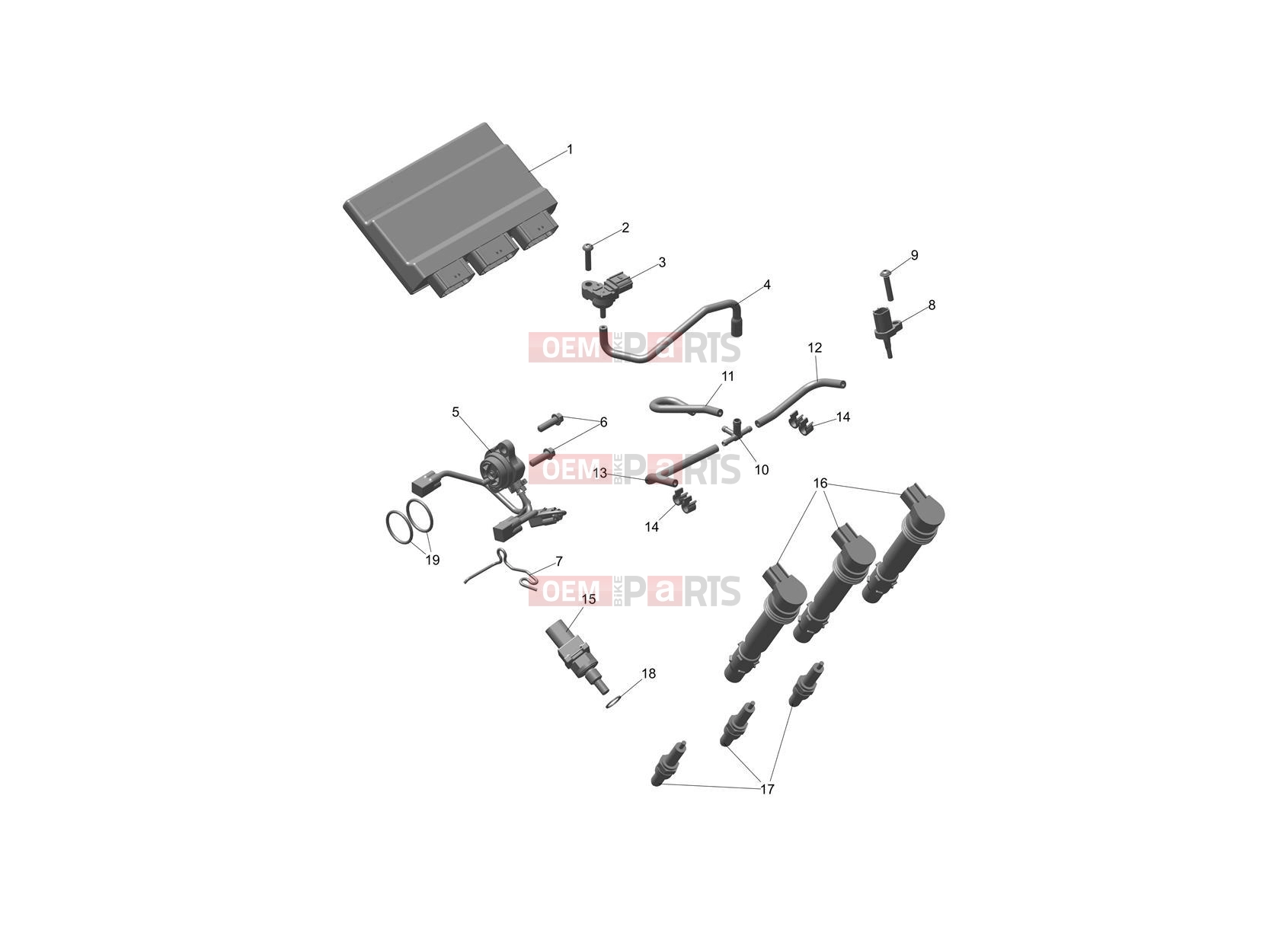 Triumph 2024 Daytona 660 Engine Management
