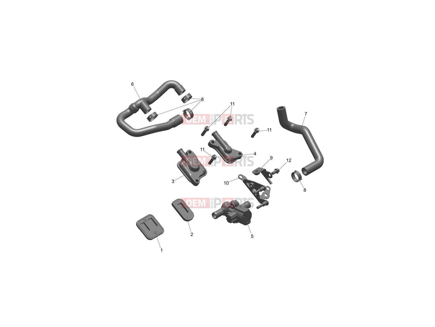 Triumph 2024 Daytona 660 Emissions Control System