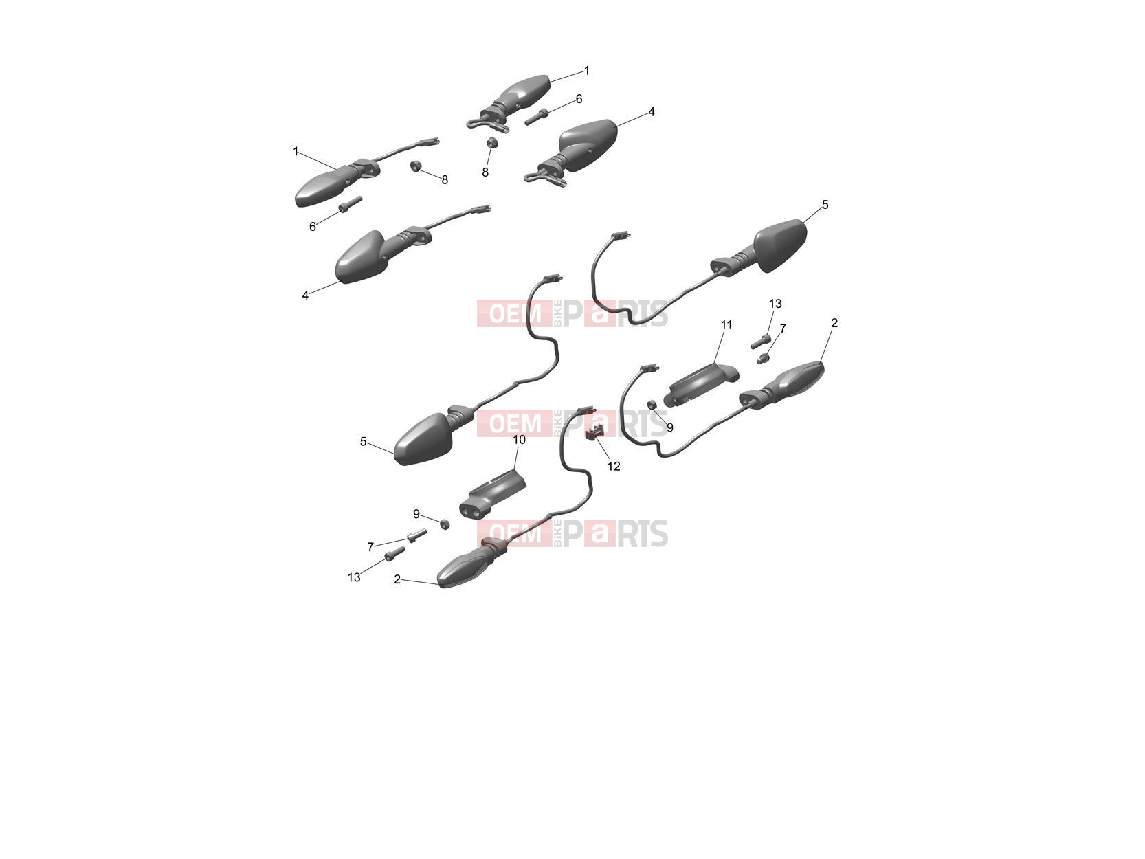 Triumph 2024 Speed Twin 1200 Indicators