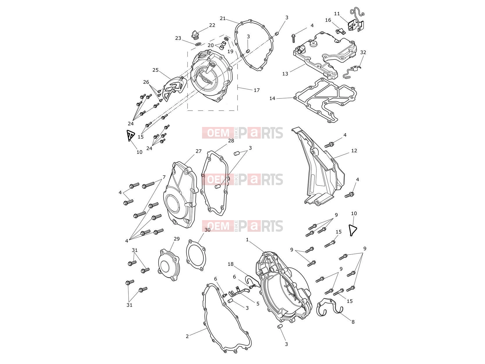 Triumph 2024 Tiger 900 GT engine covers