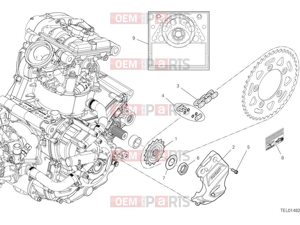 DUCATI 2025 Monster Plus Front sprocket & chain