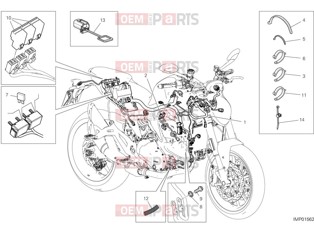 DUCATI 2025 Monster Plus Vehicle electri systems