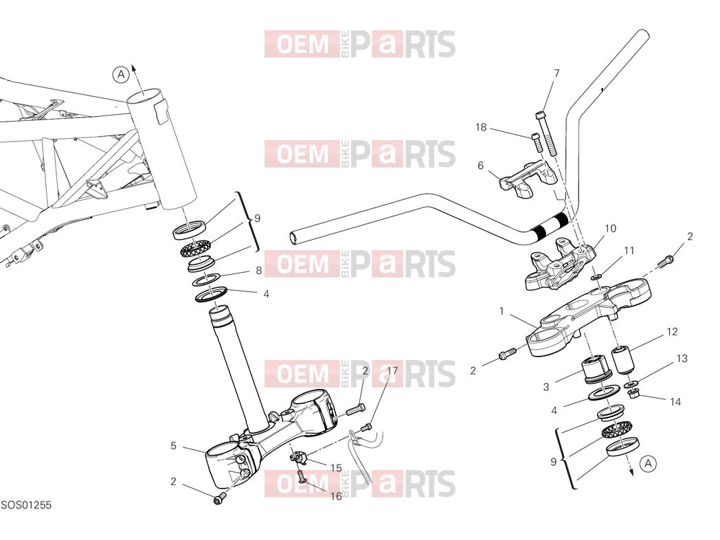 DUCATI 2025 Scrambler Icon Steering assembly