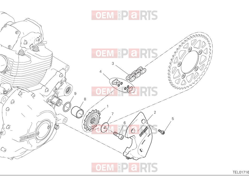 DUCATI 2025 Scrambler Nightshift Front sprocket & chain