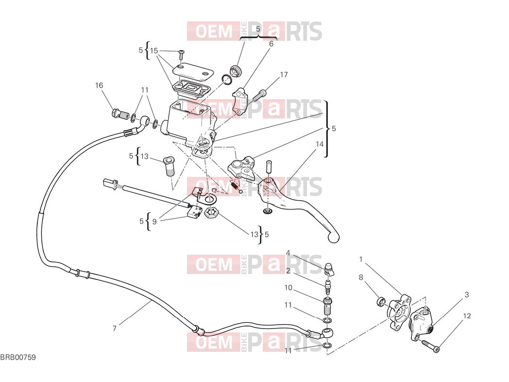 DUCATI 2025 Scrambler Nightshift Clutch control