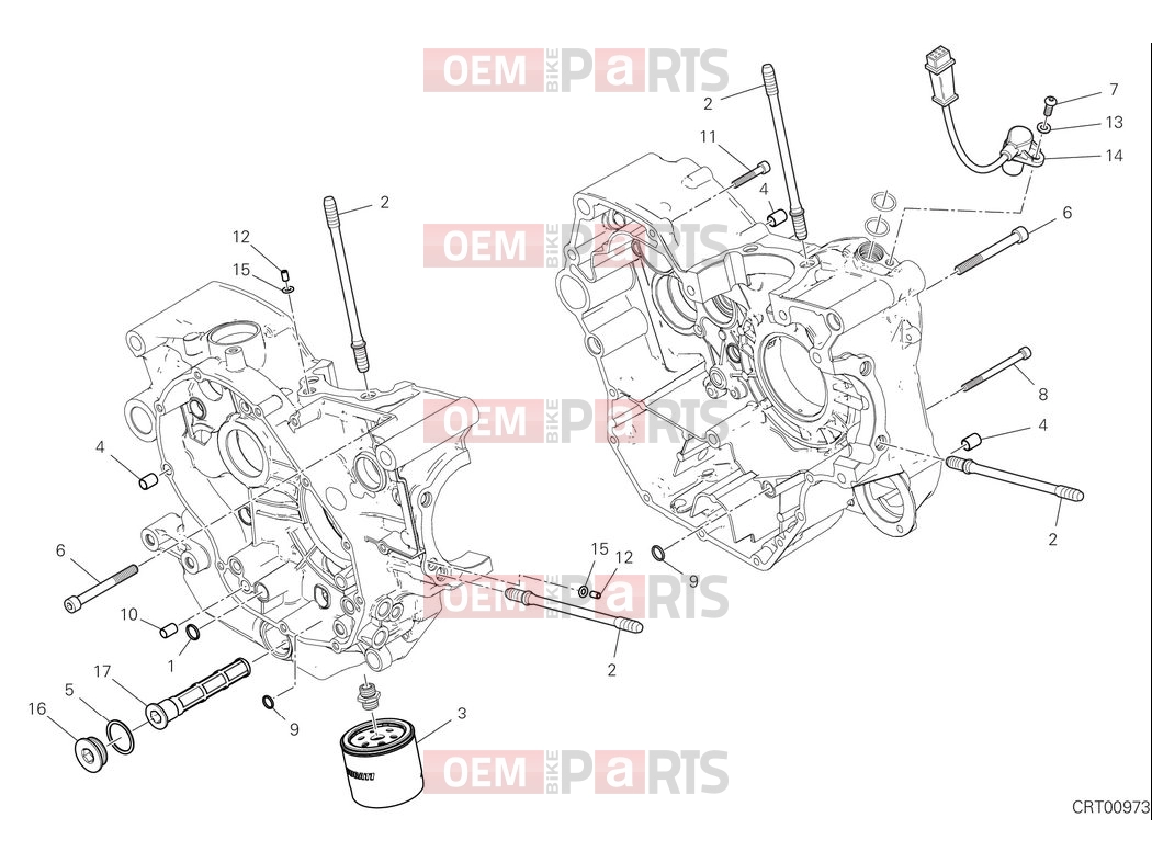 DUCATI 2025 Scrambler Nightshift Crankcase bolts