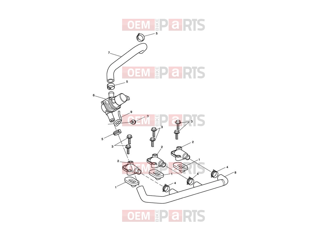 Triumph 2013 SPRINT GT Emissions Control