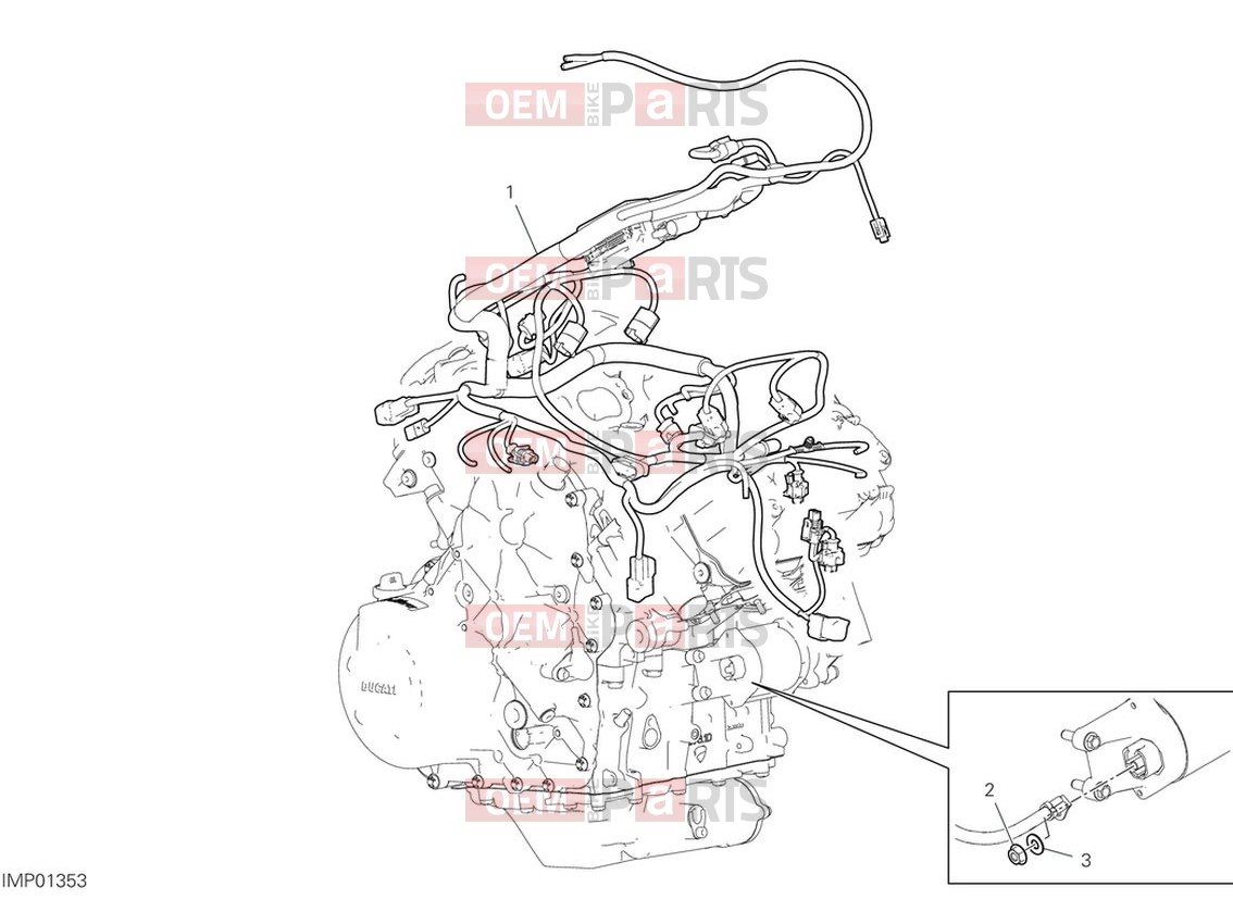 DUCATI 2024 Multistrada V4 Pikes Peak Engine electric system