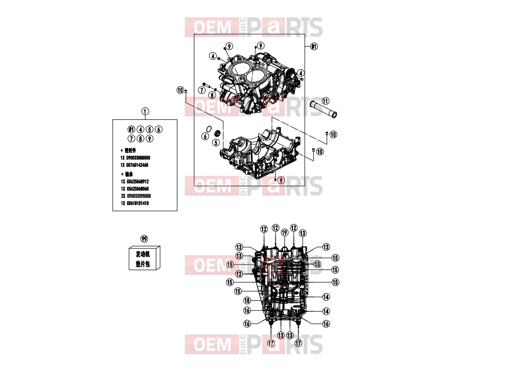CFMOTO 2024 MOTORCYCLE 800 MT (CF800-5 EXPLORE [EU5] ) ENGINE CASE - E01-1