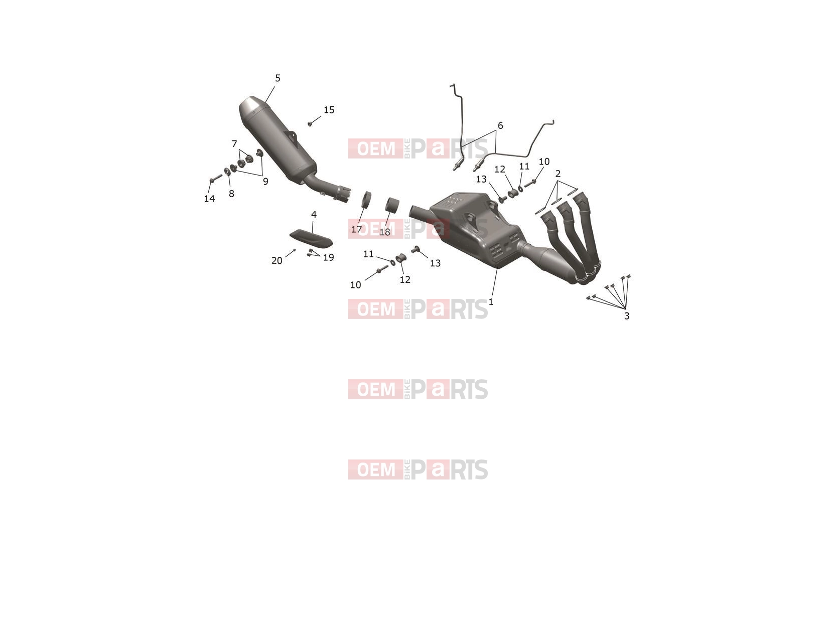 Triumph 2026 Trident 800 Exhaust System