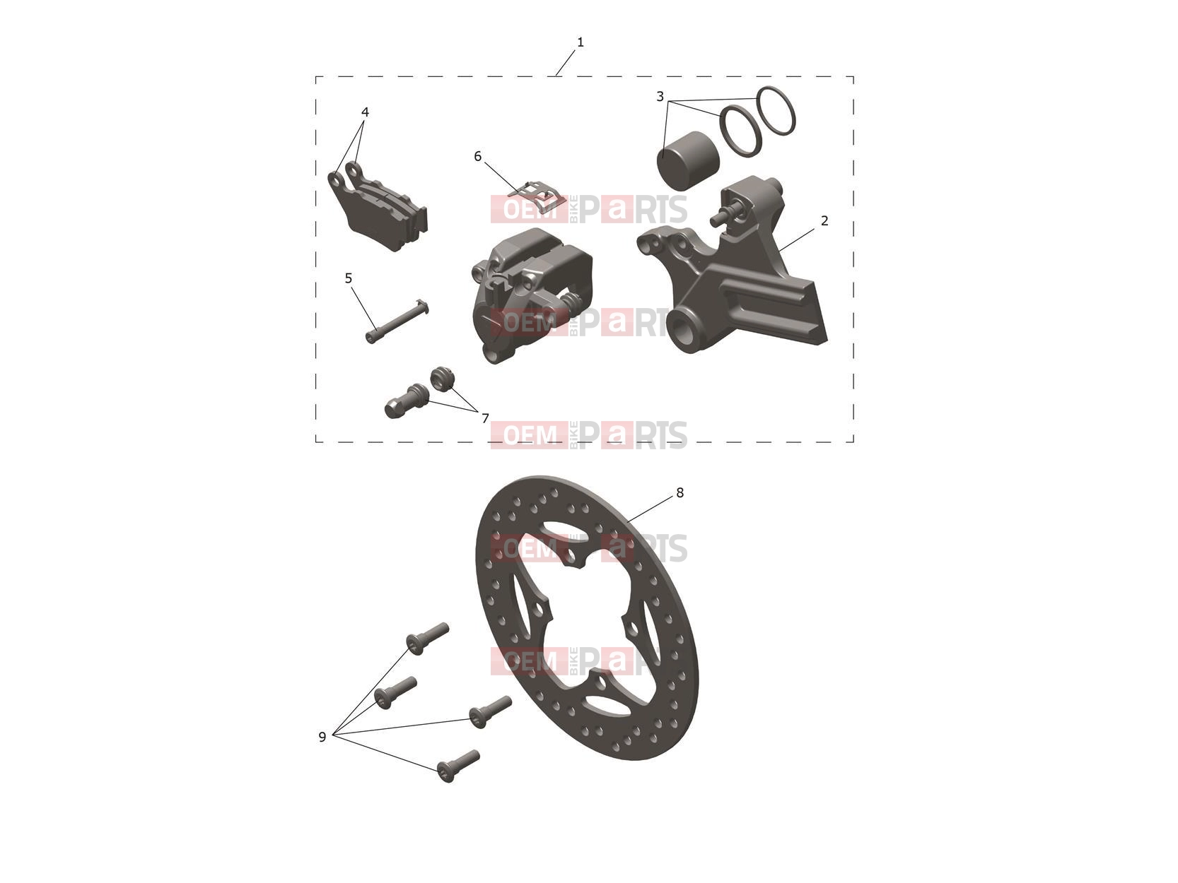 Triumph 2026 Trident 800 Rear Caliper & Disc