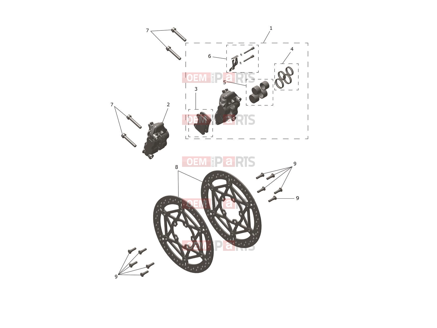 Triumph 2026 Trident 800 Front Brake Caliper & Discs