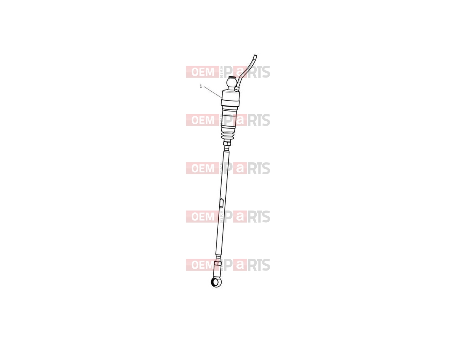 Triumph 2024 Trident 660 Shift Assist