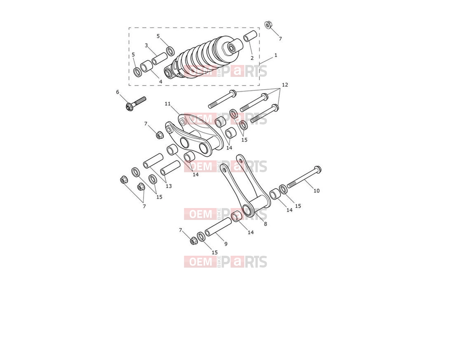 Triumph 2024 Trident 660 RSU & Linkage