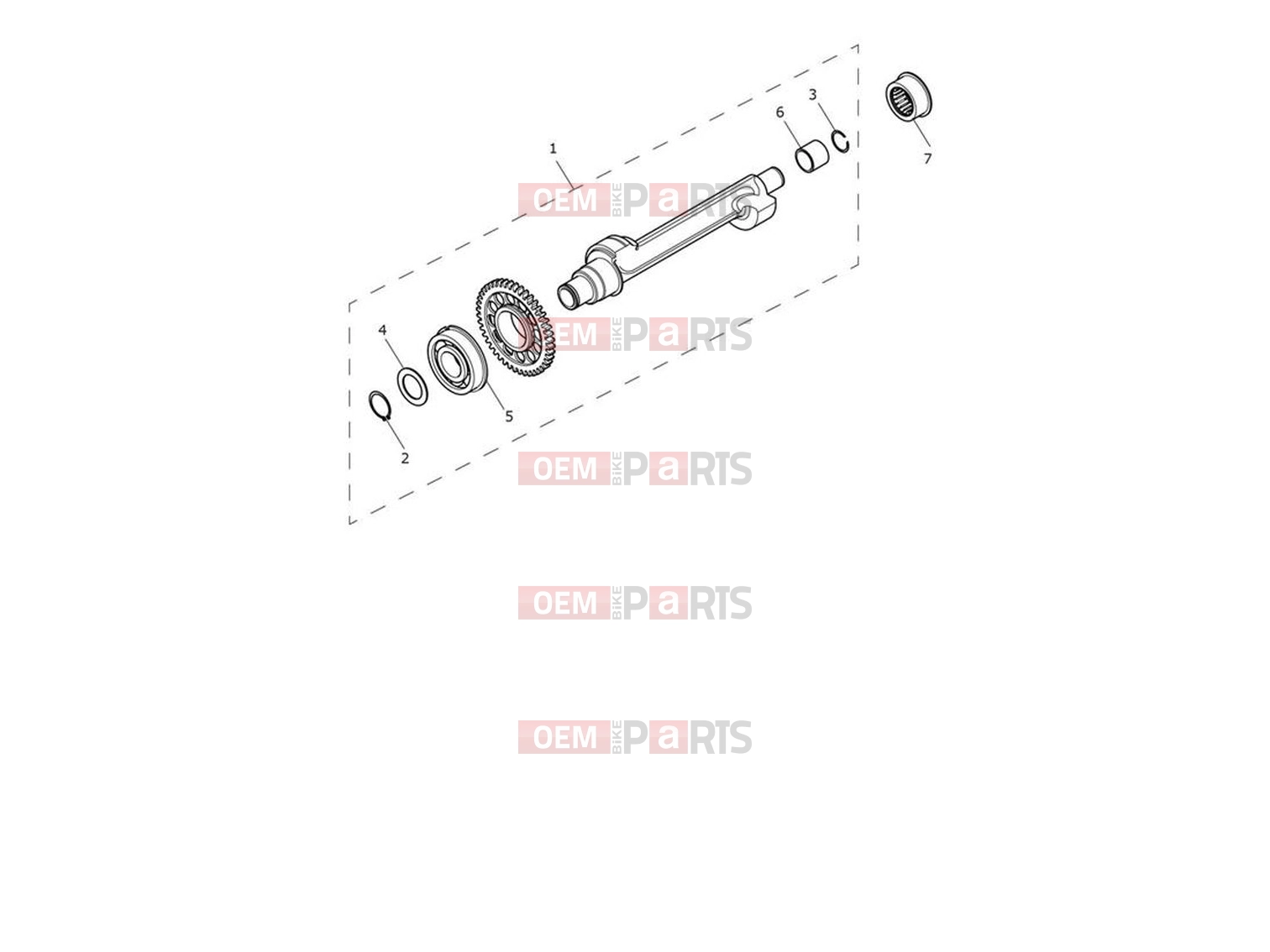 Triumph 2024 Trident 660 Balancer