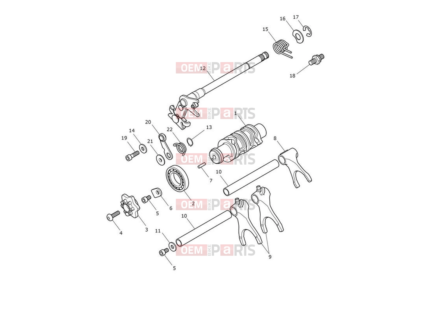 Triumph 2024 Trident 660 Gear Selector