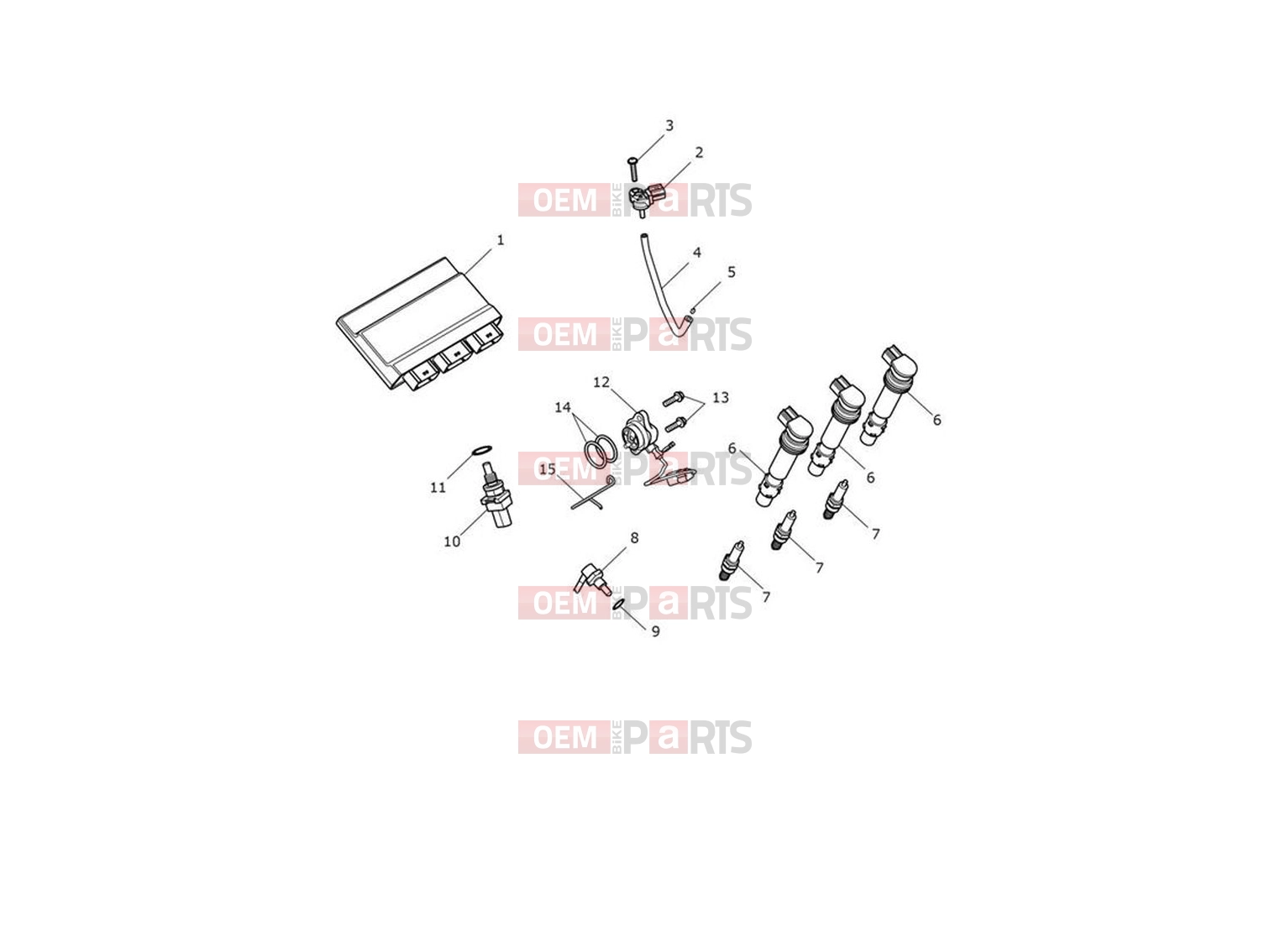 Triumph 2024 Trident 660 Engine Management
