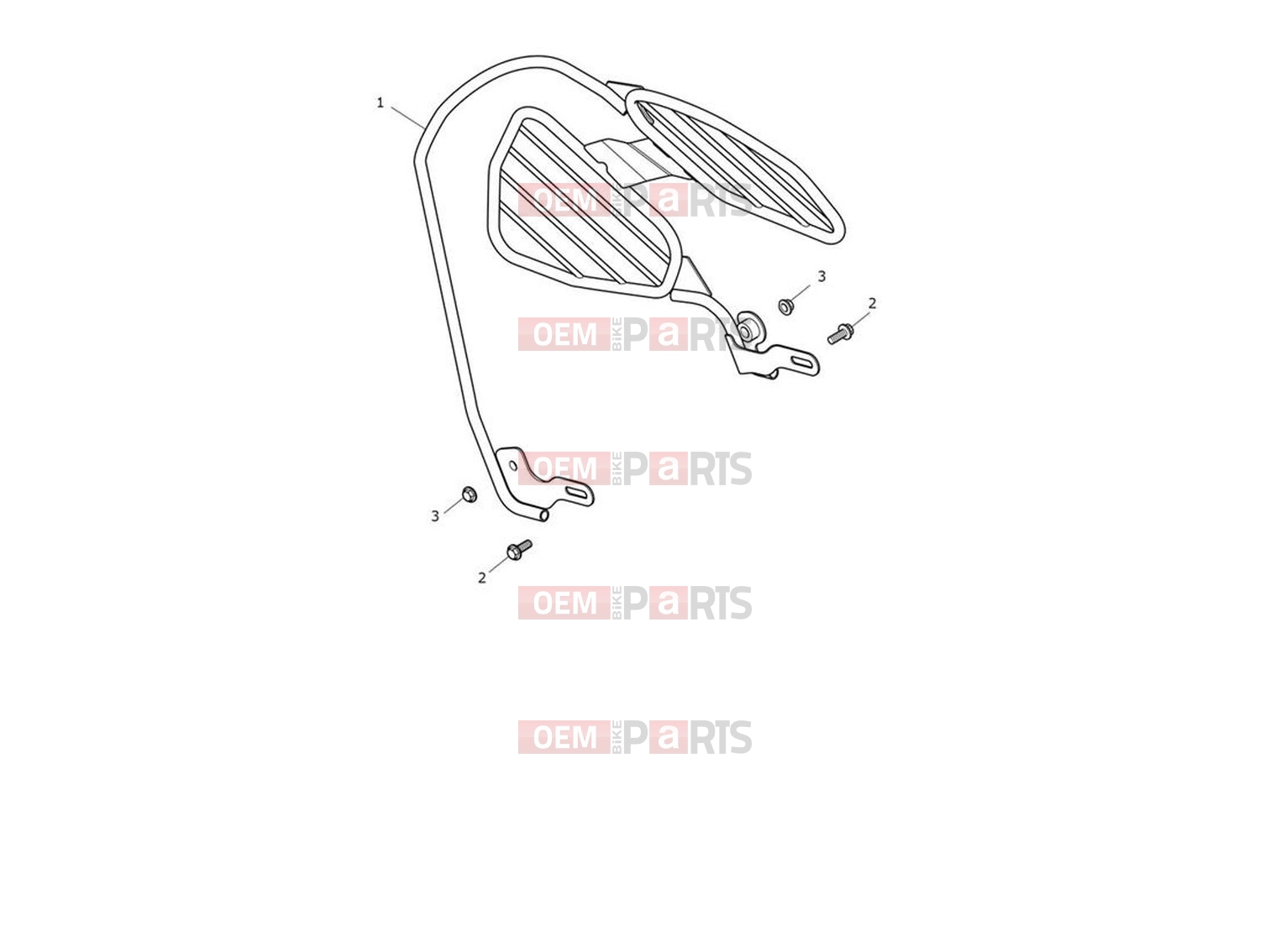 Triumph 2024 Trident 660 Saree Guard