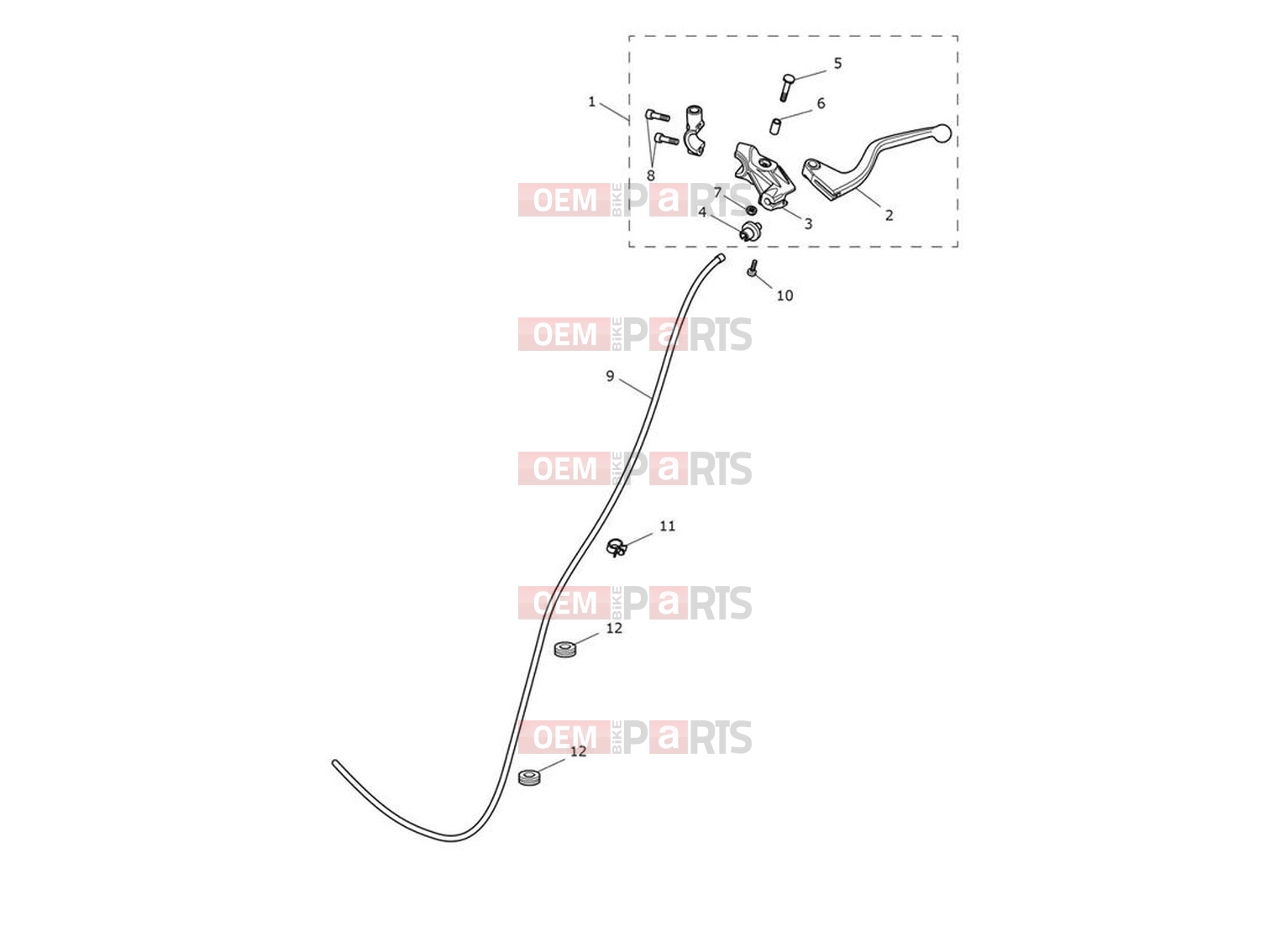 Triumph 2024 Trident 660 Clutch Controls