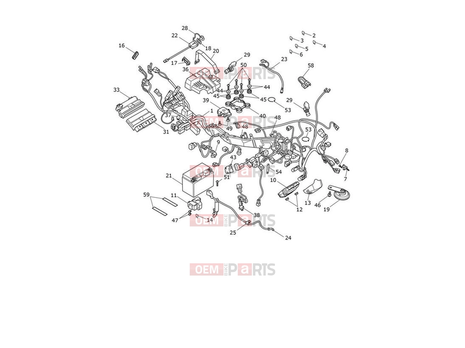 Triumph 2023 Tiger 900 Rally Electrical System