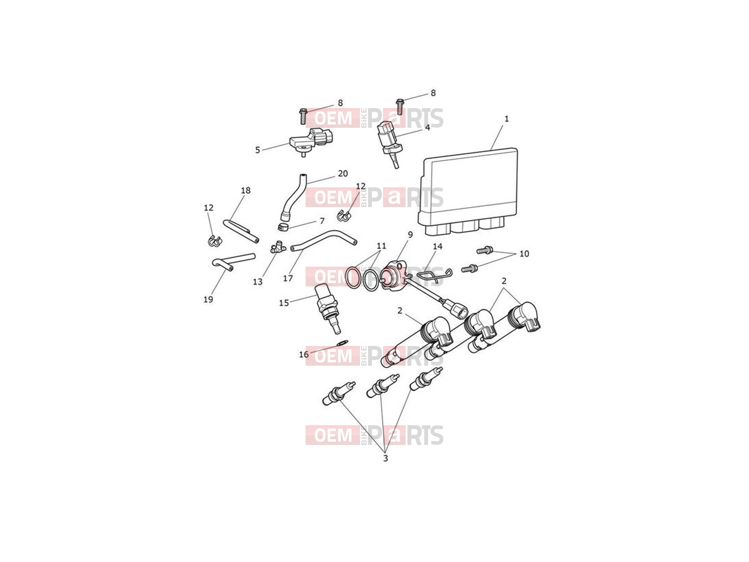 Triumph 2023 Tiger 900 Rally Engine Management System